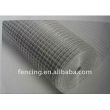 Electrical Galvanized Welded Wire Mesh